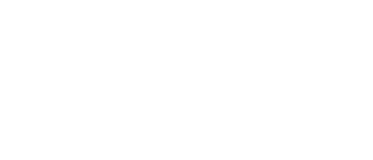 Partner Asseco